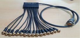 Wire Harness Assembly & Connector Body Assembly